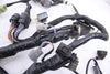 Main Wire Harness Kawasaki EX300 Ninja 13-17 OEM