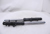 Left Right Fork Damper Tubes Set Kawasaki ZX600J ZX6R Ninja 00-02 OEM
