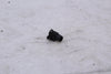 Honda CBR600RR 03-04 Sensor MAP OEM CBR 600 RR