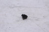 Honda CBR600RR 03-04 Sensor MAP OEM CBR 600 RR