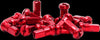 DUBYA SPOKE NIPPLES RED 98-611R