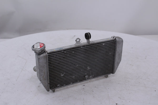 Yamaha YZF-R3 2015-2019 Radiator OEM