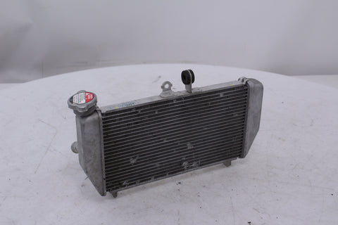 Yamaha YZF-R3 2015-2019 Radiator OEM
