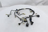Yamaha XVS650 V-Star Classic 1998-2009 Main Wire Harness OEM