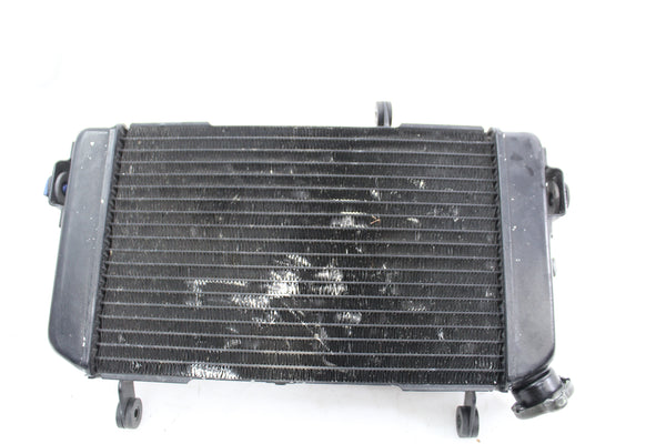 Suzuki SV650/S 1999-2002 Radiator With Fan OEM