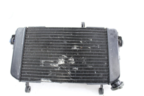 Suzuki SV650/S 1999-2002 Radiator With Fan OEM