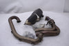 Ducati Hypermotard/SP 2013-2016 Exhaust Full System Muffler Header OEM