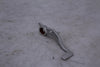 BMW S1000RR 2023-2025 Brake Pedal OEM