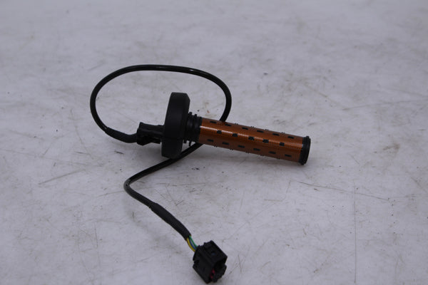 BMW S1000RR 2023-2025 Throttle Tube Heated OEM