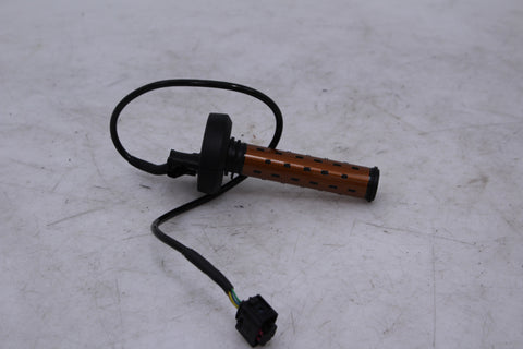 BMW S1000RR 2023-2025 Throttle Tube Heated OEM