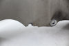 Honda VT1100C2 Sabre 2000-2007 Fender Front OEM