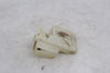 Radiator Coolant Reservoir Honda VF750C Magna 82-83 OEM