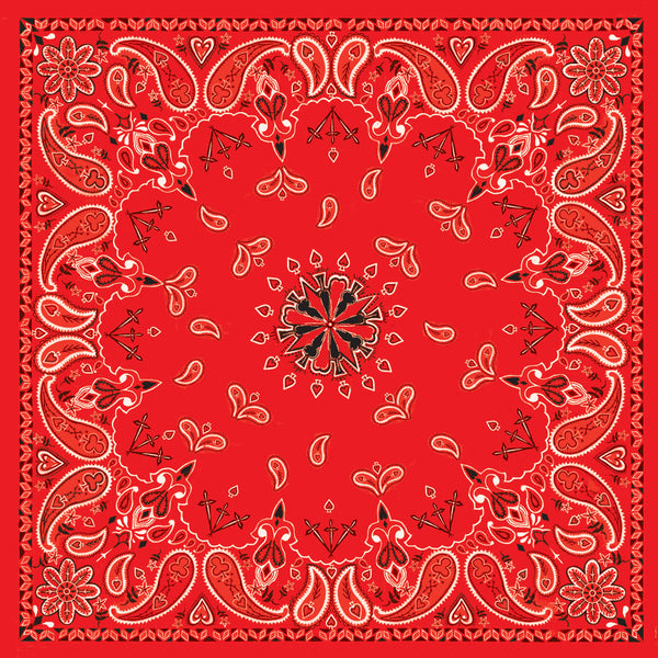 ZAN BANDANNA RED PAISLEY B003
