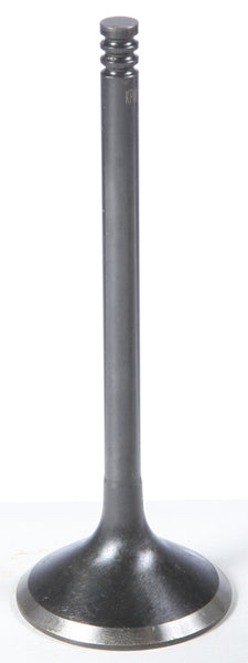 KPMI BLACK DIAMOND EXHAUST VALVE HD TWIN CAM 88-103