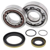 ALL BALLS CRANKSHAFT BEARING / SEAL KIT GAS 24-1115
