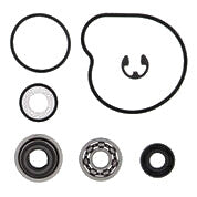 VERTEX WATER PUMP REBUILD KIT 821928