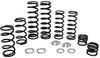 ZBROZ DUAL RATE SPRING KIT POL K25-PL1006-0