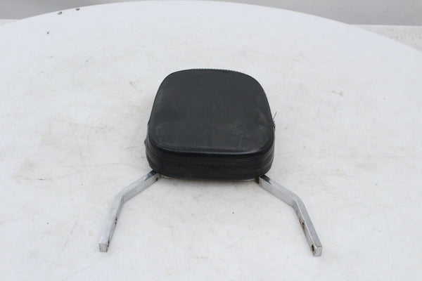 Passenger Backrest Honda VT600 VLX Shadow 04-07 OEM VT 600