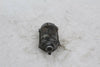 Starter Motor Honda CBR929RR 00-01 OEM CBR 929 RR