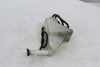 Radiator Coolant Reservoir Honda CBR1100XX 01-03 OEM