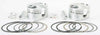 WISECO V-TWIN PISTON KIT 1200 EVO SPORTSTER 10.5:1 COMP K1687