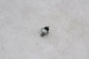 Temperature Sensor Oil Pressure Kawasaki ZX6R 636 Ninja 19-23 OEM ZX6R 636