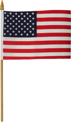 HARDDRIVE REPLACEMENT FLAG 4X6 NO MOUNT 77-016