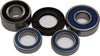 ALL BALLS REAR WHEEL BEARING KIT 25-1383