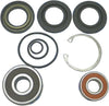 WSM PUMP REPAIR KIT KAW 003-614