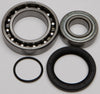 ALL BALLS CHAIN CASE BEARING & SEAL KIT 14-1041