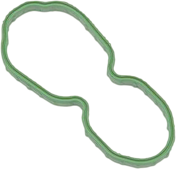 HARDDRIVE FUEL PUMP DOOR GASKET 07-UP XL 022254