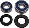 ALL BALLS REAR WHEEL BEARING/SEAL KIT 25-1206