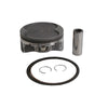 VERTEX PISTON KIT CAST 98.95/STD 10.2:1 POL 24396B