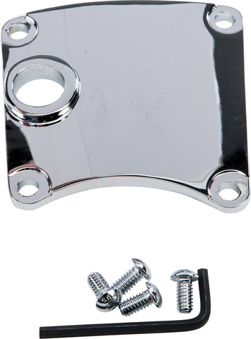 HARDDRIVE INSPECTION COVER W/MID CONTROLS CHROME 210245