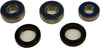 ALL BALLS WHEEL BEARING & SEAL KIT 25-1674