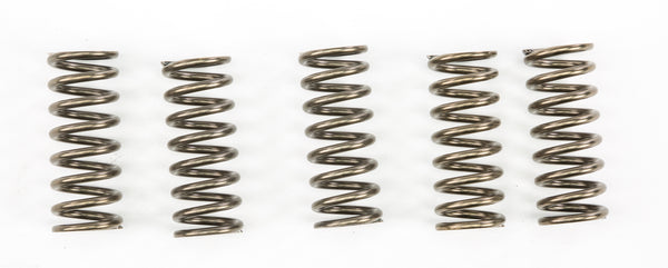 EBC CLUTCH SPRINGS CSK249