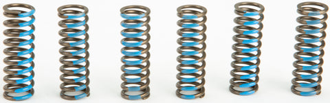 PRO CIRCUIT CLUTCH SPRINGS CSY06450